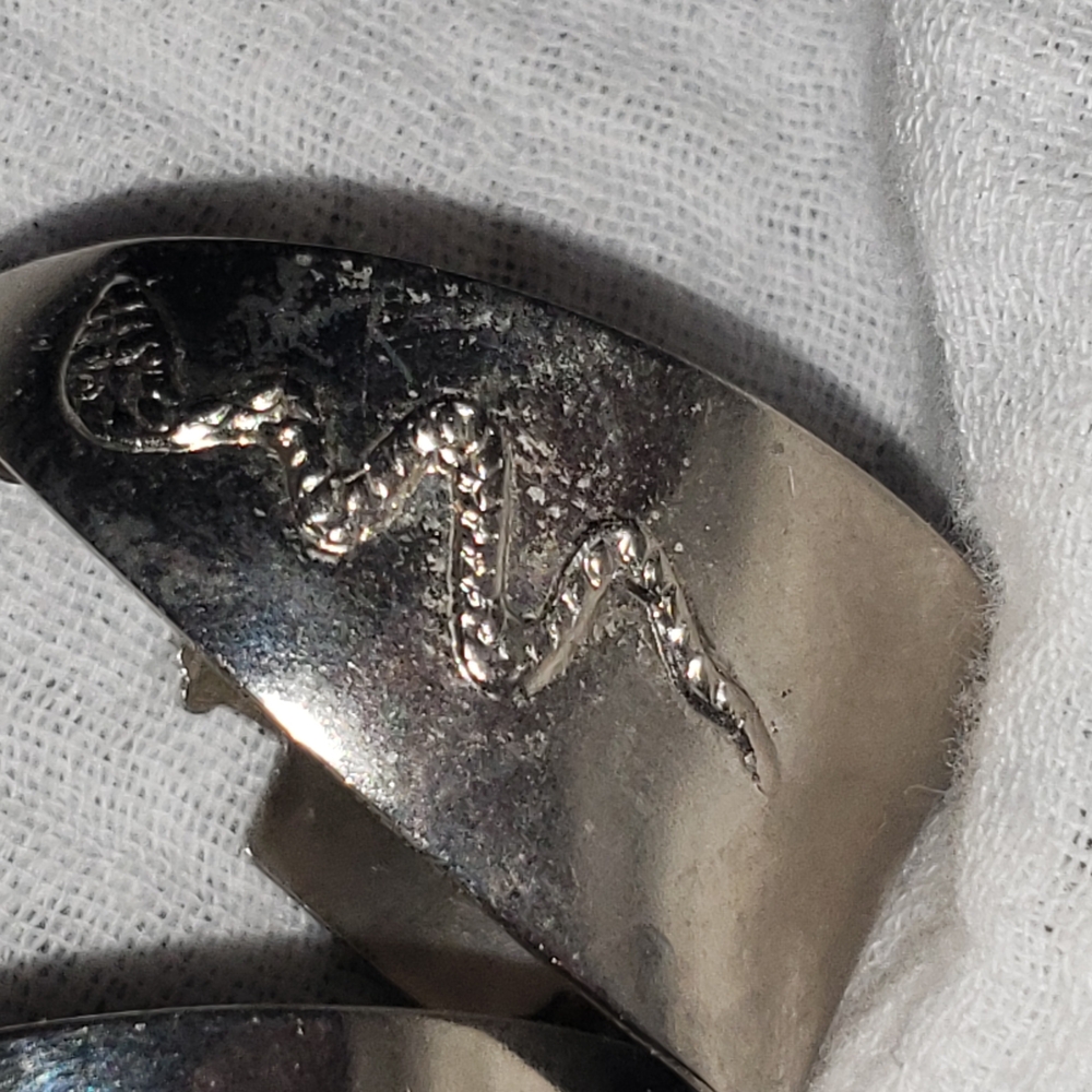 Silver Snake Design Earrings